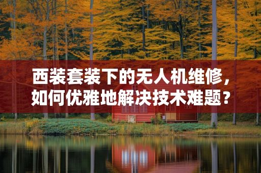 西装套装下的无人机维修，如何优雅地解决技术难题？