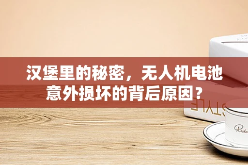 汉堡里的秘密，无人机电池意外损坏的背后原因？