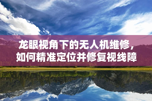 龙眼视角下的无人机维修，如何精准定位并修复视线障碍？
