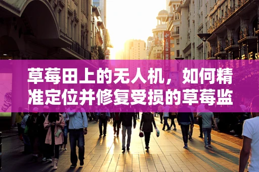 草莓田上的无人机，如何精准定位并修复受损的草莓监测无人机？