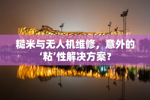 糙米与无人机维修，意外的‘粘’性解决方案？