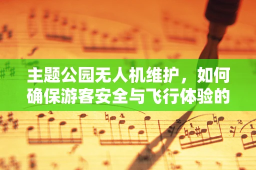 主题公园无人机维护，如何确保游客安全与飞行体验的双重保障？