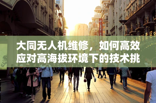 大同无人机维修，如何高效应对高海拔环境下的技术挑战？