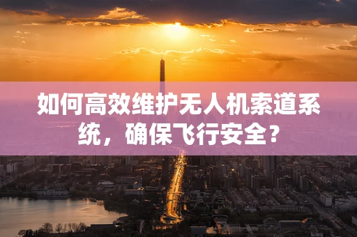 如何高效维护无人机索道系统，确保飞行安全？
