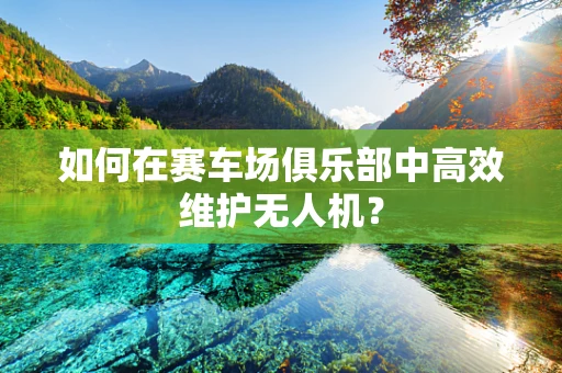 如何在赛车场俱乐部中高效维护无人机？