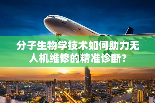 分子生物学技术如何助力无人机维修的精准诊断？
