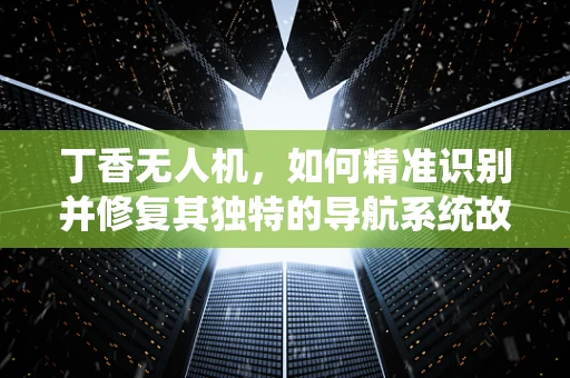 丁香无人机，如何精准识别并修复其独特的导航系统故障？