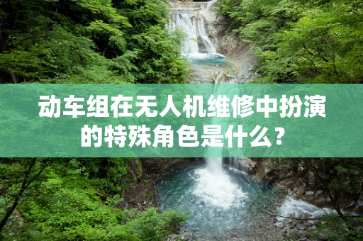 动车组在无人机维修中扮演的特殊角色是什么？