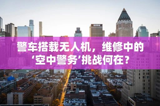 警车搭载无人机，维修中的‘空中警务’挑战何在？