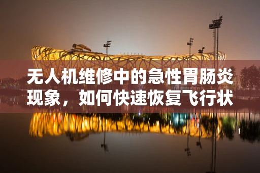 无人机维修中的急性胃肠炎现象，如何快速恢复飞行状态？