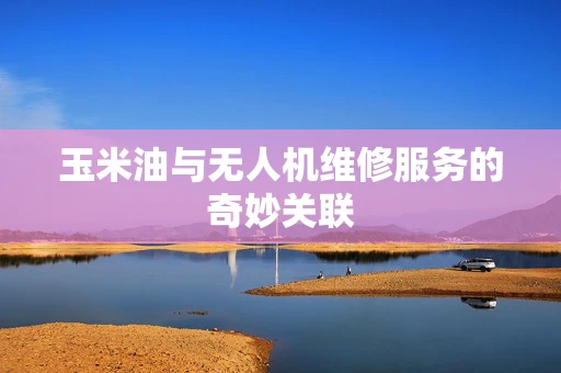 玉米油与无人机维修服务的奇妙关联