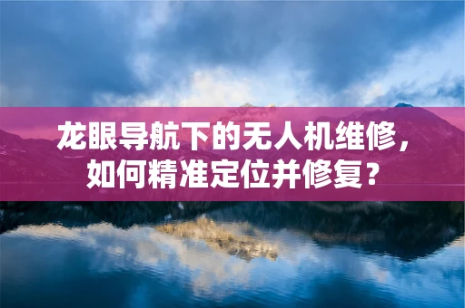 龙眼导航下的无人机维修，如何精准定位并修复？