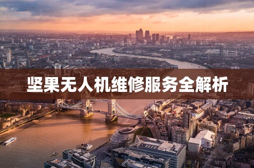 坚果无人机维修服务全解析