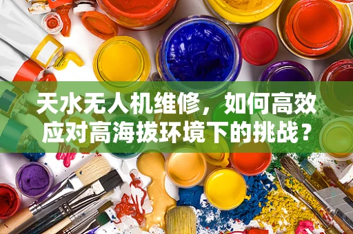 天水无人机维修，如何高效应对高海拔环境下的挑战？