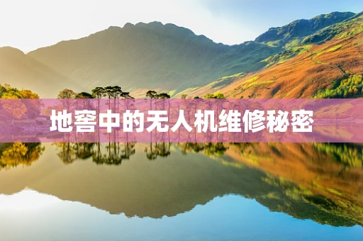 地窖中的无人机维修秘密