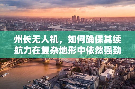 州长无人机，如何确保其续航力在复杂地形中依然强劲？