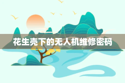 花生壳下的无人机维修密码