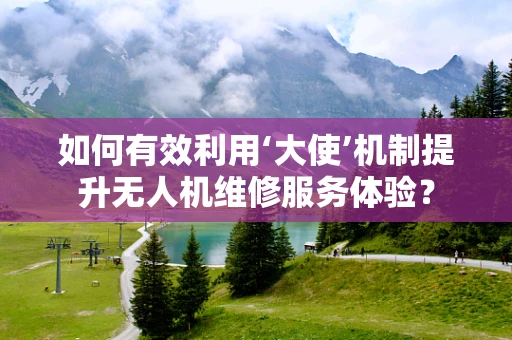 如何有效利用‘大使’机制提升无人机维修服务体验？