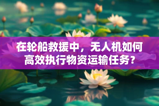 在轮船救援中，无人机如何高效执行物资运输任务？