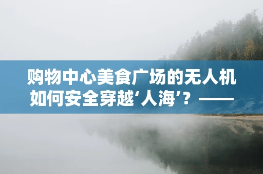 购物中心美食广场的无人机如何安全穿越‘人海’？——无人机维修服务的挑战与策略
