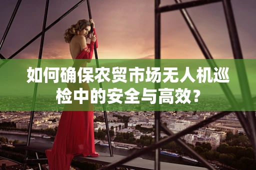 如何确保农贸市场无人机巡检中的安全与高效？