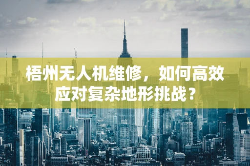 梧州无人机维修，如何高效应对复杂地形挑战？