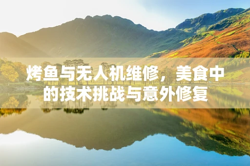 烤鱼与无人机维修，美食中的技术挑战与意外修复