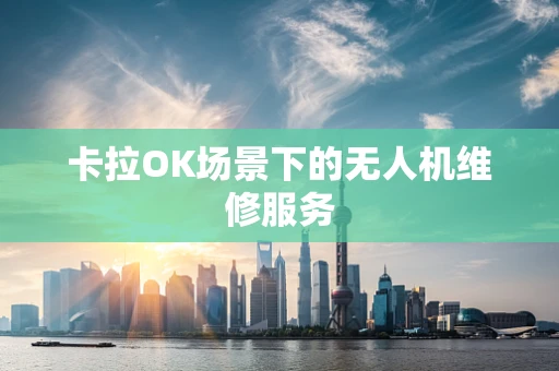 卡拉OK场景下的无人机维修服务