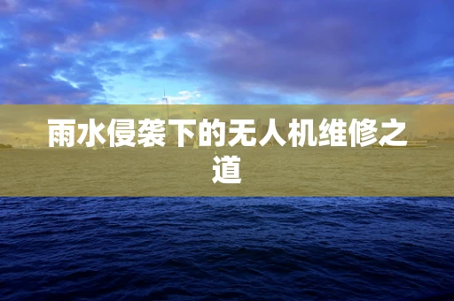 雨水侵袭下的无人机维修之道