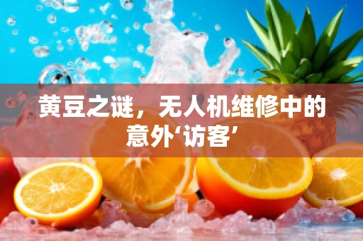 黄豆之谜，无人机维修中的意外‘访客’