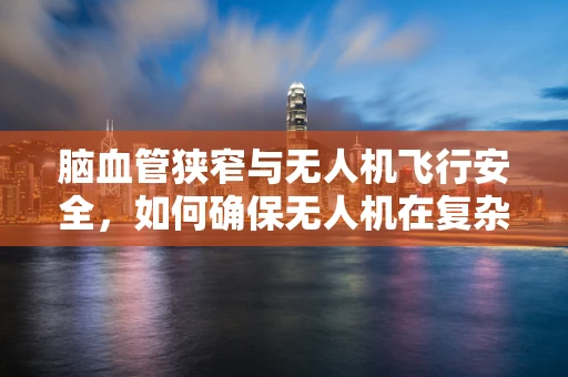 脑血管狭窄与无人机飞行安全，如何确保无人机在复杂气象条件下的稳定飞行？