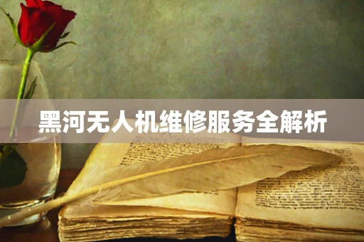 黑河无人机维修服务全解析