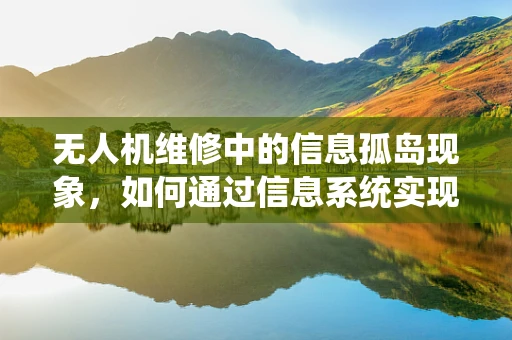 无人机维修中的信息孤岛现象，如何通过信息系统实现数据共享与协同？