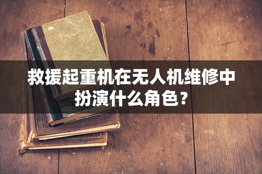 救援起重机在无人机维修中扮演什么角色？