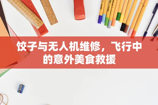 饺子与无人机维修，飞行中的意外美食救援