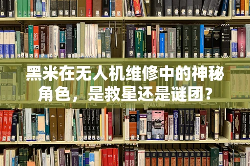 黑米在无人机维修中的神秘角色，是救星还是谜团？