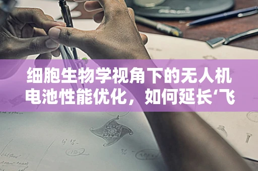 细胞生物学视角下的无人机电池性能优化，如何延长‘飞行心脏’的寿命？