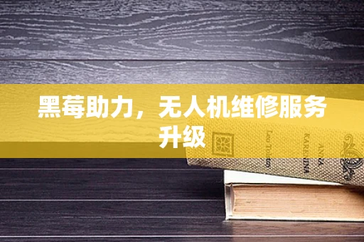黑莓助力，无人机维修服务升级