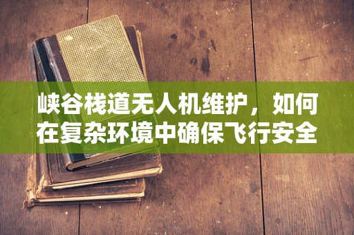 峡谷栈道无人机维护，如何在复杂环境中确保飞行安全？