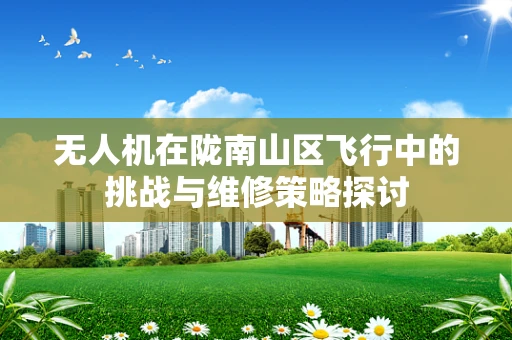 无人机在陇南山区飞行中的挑战与维修策略探讨