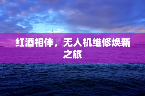 红酒相伴，无人机维修焕新之旅