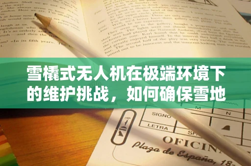 雪橇式无人机在极端环境下的维护挑战，如何确保雪地飞行安全？