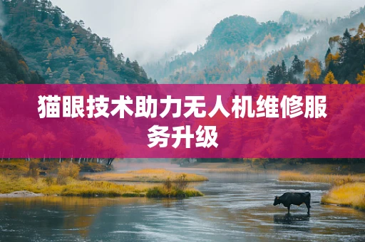 猫眼技术助力无人机维修服务升级