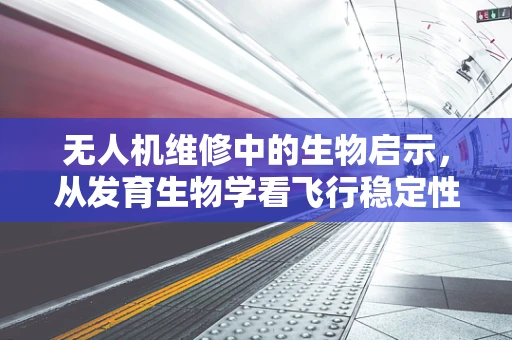 无人机维修中的生物启示，从发育生物学看飞行稳定性提升