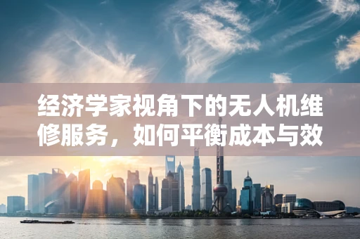 经济学家视角下的无人机维修服务，如何平衡成本与效率？