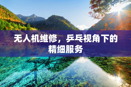 无人机维修，乒乓视角下的精细服务