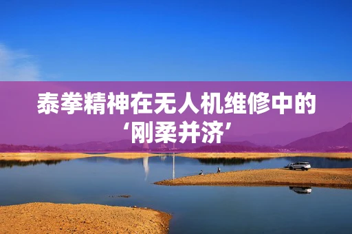 泰拳精神在无人机维修中的‘刚柔并济’