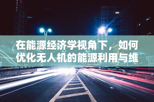 在能源经济学视角下，如何优化无人机的能源利用与维护成本？