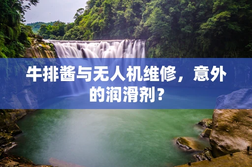 牛排酱与无人机维修，意外的润滑剂？