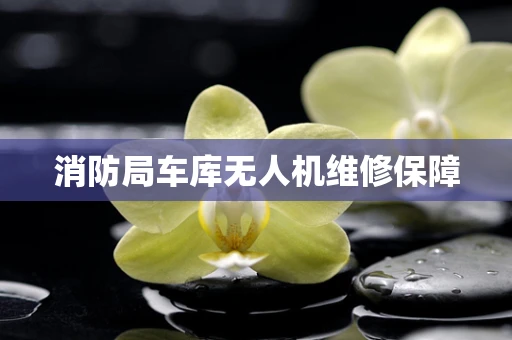 消防局车库无人机维修保障